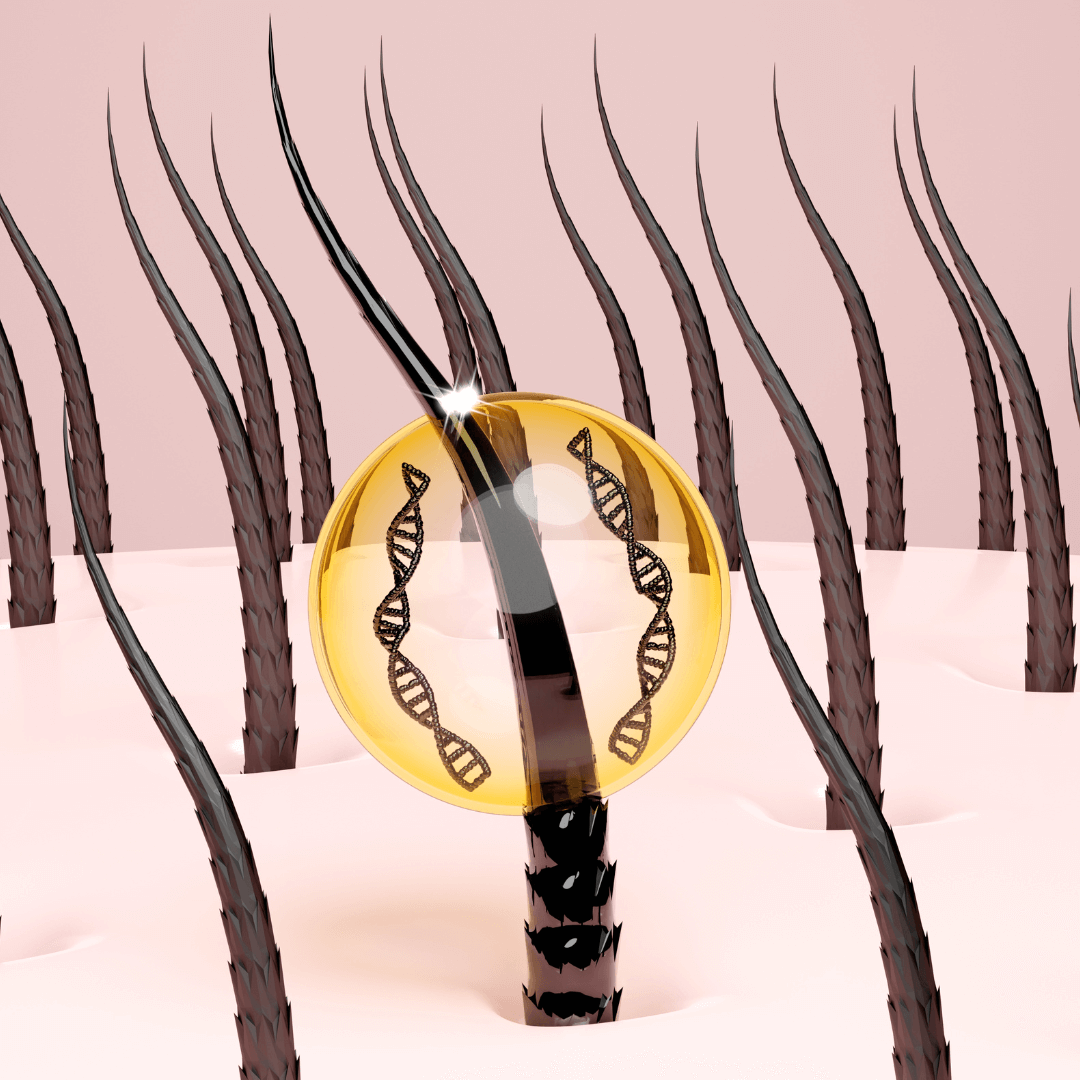 Ilustração dos nutrientes fornecidos pelo tratamento DHT Blocker para o desenvolvimento de novos fios fortes e saudáveis.