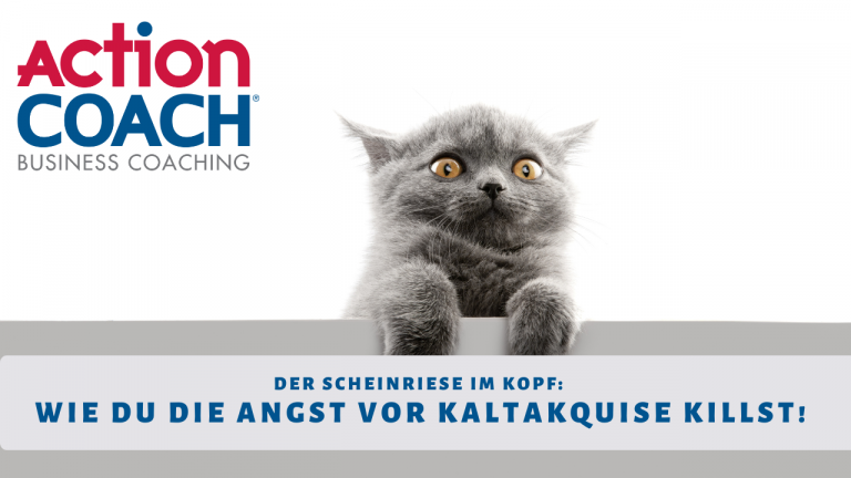 Bild mit erschrockener Katze und dem Titel "Keine Angst vor Kaltakquise"