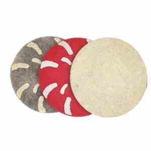 Hard diamond polishing disc 320, 250, 230, 200, 175, 150, 125, 100 P TER (Kopija)