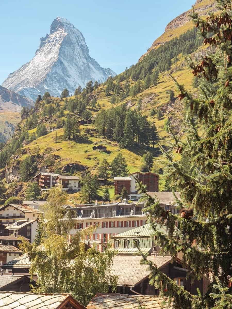Green trees and mountainside, in front of The matterhorn in Zermatt, Switzerland