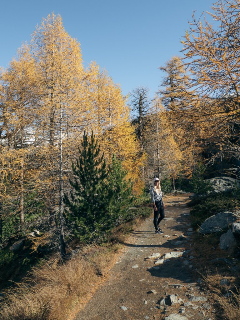 Woman hiking in Zermatt among autumn trees.