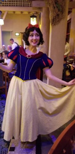 What Are The Best Character Meals at Walt Disney World? 7