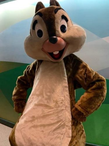 What Are The Best Character Meals at Walt Disney World? 16