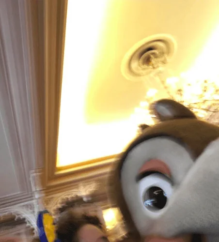 selfie fail characters