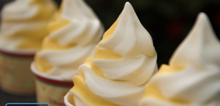 Frozen Treats to Help Beat the Heat at Walt Disney World 6