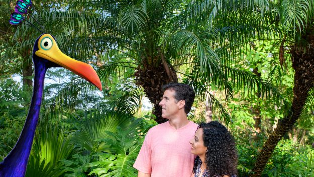 Best Magic Shots Currently at Disney’s Animal Kingdom.