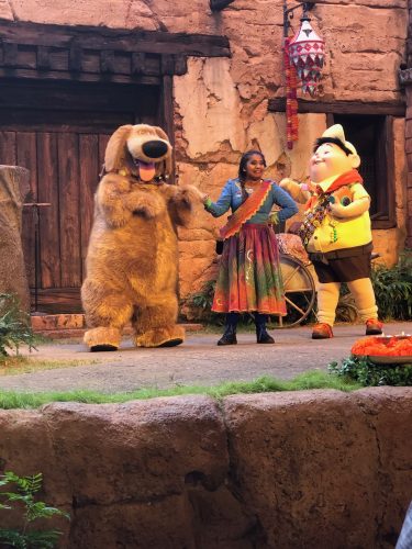 Top 5 Reasons Why You Shouldn't Skip Disney's Animal Kingdom 3