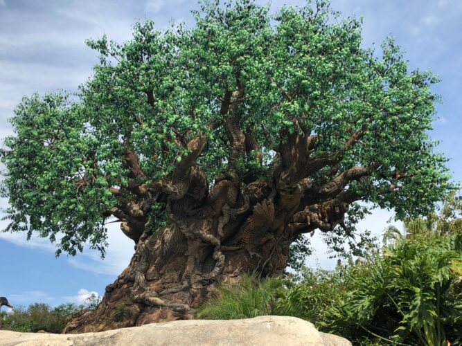 Top 5 Reasons Why You Shouldn't Skip Disney's Animal Kingdom