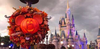 WDW FallDecor