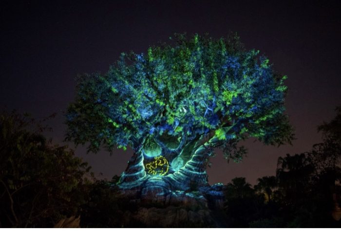 Summer Nights Come Alive at Disney’s Animal Kingdom Park
