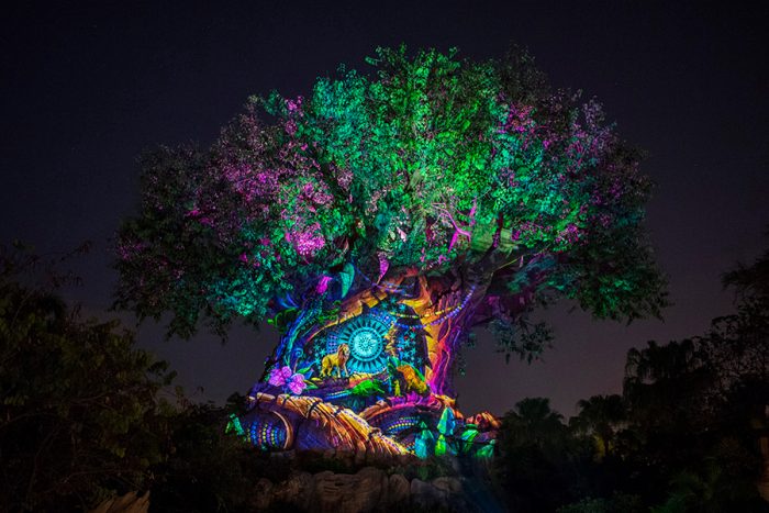 Many Roar-some Lion King Experiences Throughout Animal Kingdom