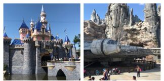 DLR scaled