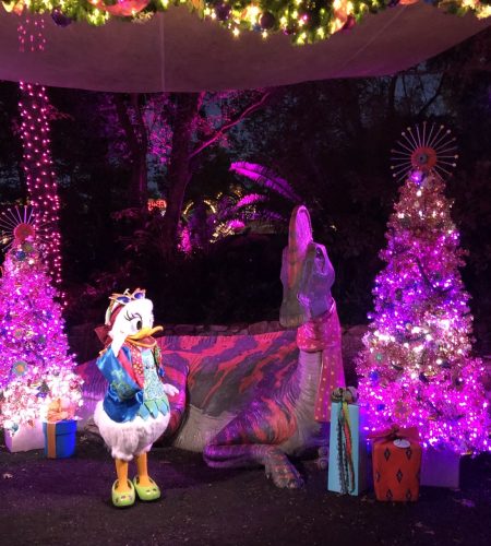 Why You Need To See Animal Kingdom For The Holiday Season! 4