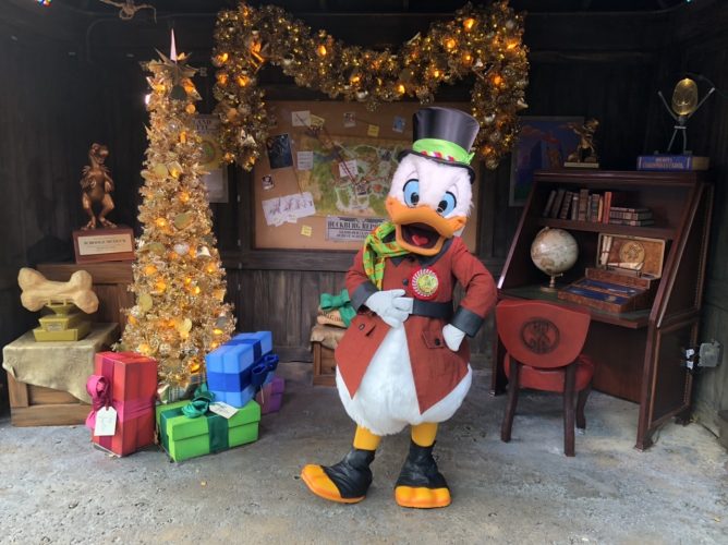 Why You Need To See Animal Kingdom For The Holiday Season! 2