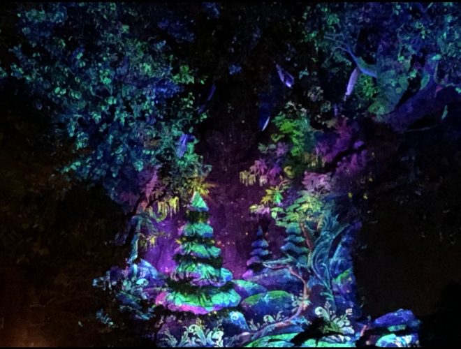 Why You Need To See Animal Kingdom For The Holiday Season! 10