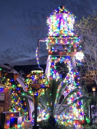 Why You Need To See Animal Kingdom For The Holiday Season! 7