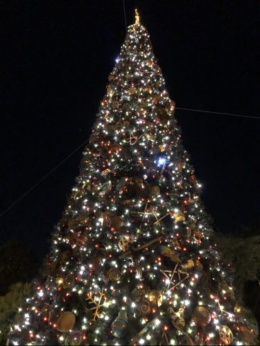 Why You Need To See Animal Kingdom For The Holiday Season! 11
