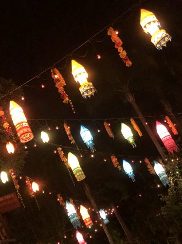 Why You Need To See Animal Kingdom For The Holiday Season! 9