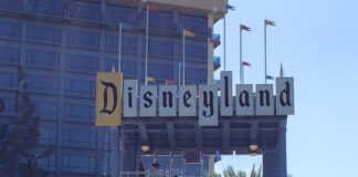 disneyland hotel2