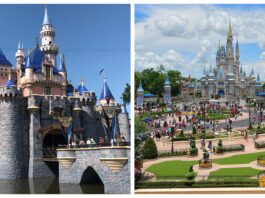 disney scaled