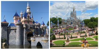 disney scaled