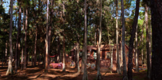 fort wilderness