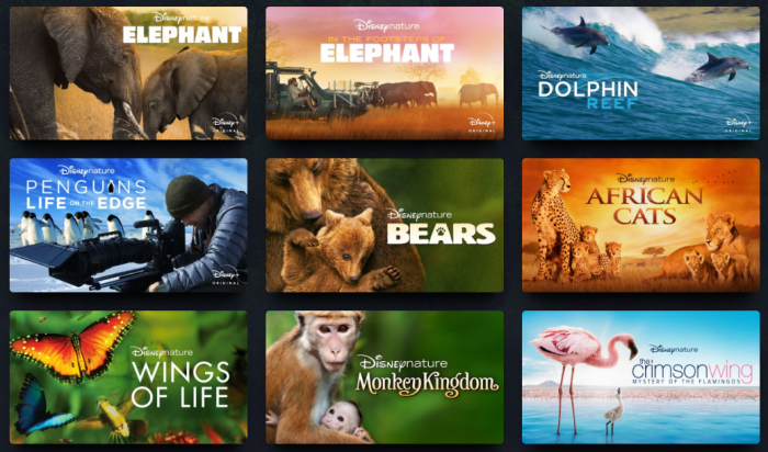 5 Wonderful Ways to Celebrate Earth Day with Disney 2