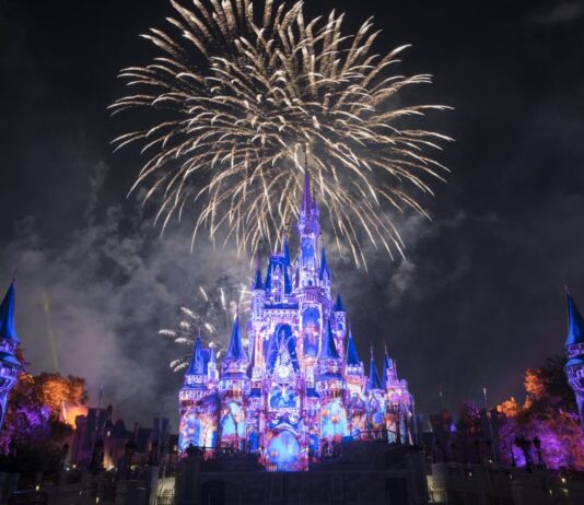 fireworks 1