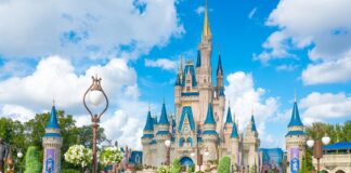 wdw
