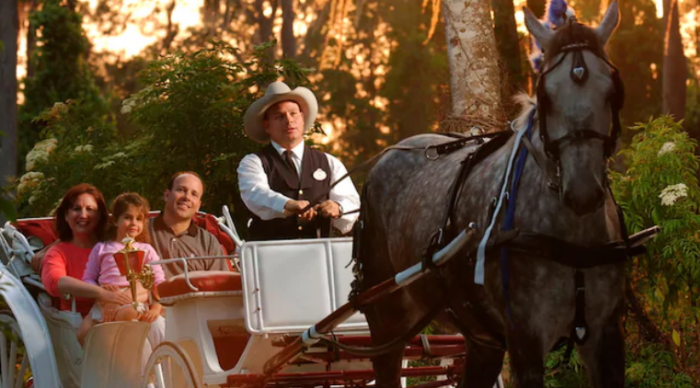 10 Non-Park Activities to do at Walt Disney World 8