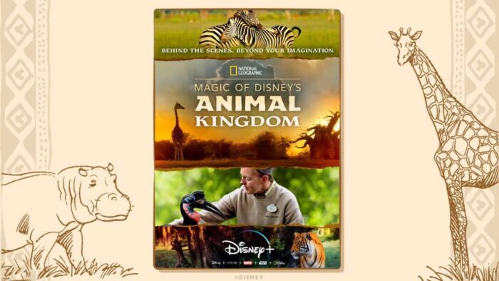 magic of Disney's animal kingdom