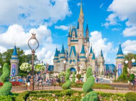 wdw