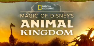 nat geo magic of disneys animal kingdom feature