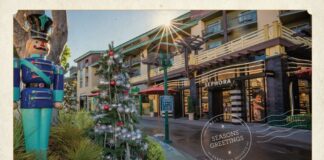 DTD holidays
