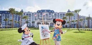mickey minnie