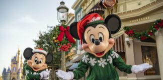 mickey wdw