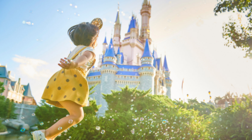 Planning a Disney World Vacation on a Budget 3 disney world castle