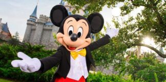 mickey wdw