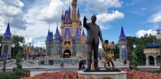 wdw