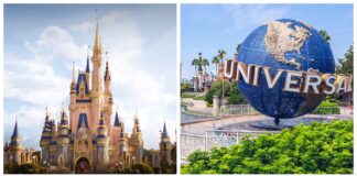 disney universal scaled