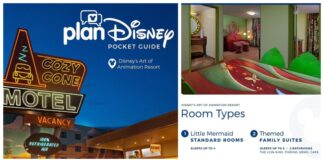 plandisney scaled