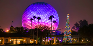 epcot holidays