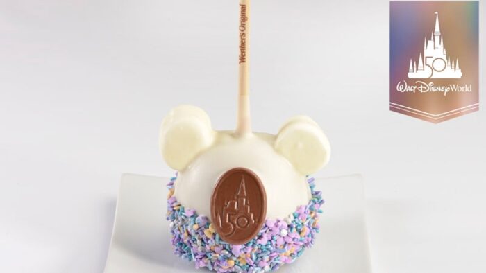 Souvenir Guide To Walt Disney World 50th Anniversary Merch! 12 Disney treats