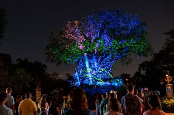 Celebrating Disney World 50th Anniversary At Disney's Animal Kingdom 8 Disney World 50