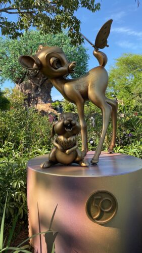 Disney World 50
