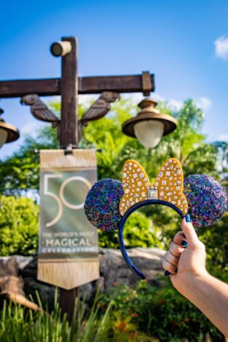 Disney World 50 merch