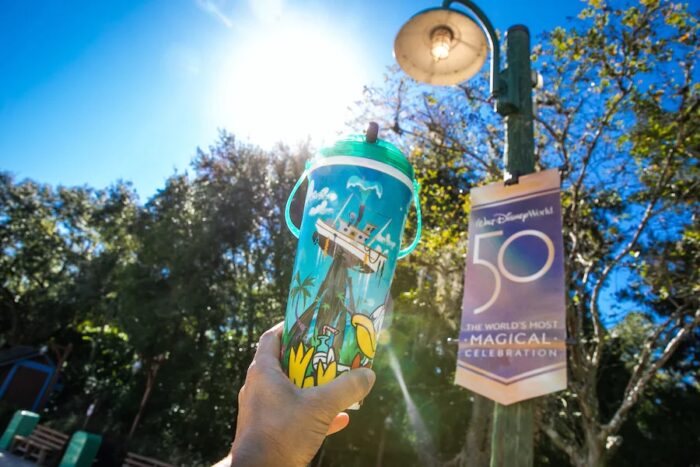 disney waterpark