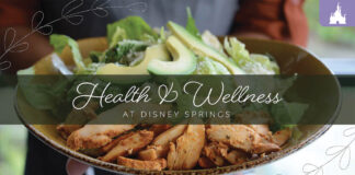 disney springs