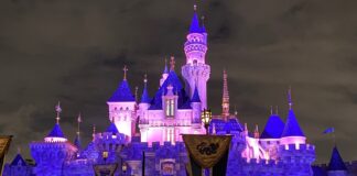 disneyland night