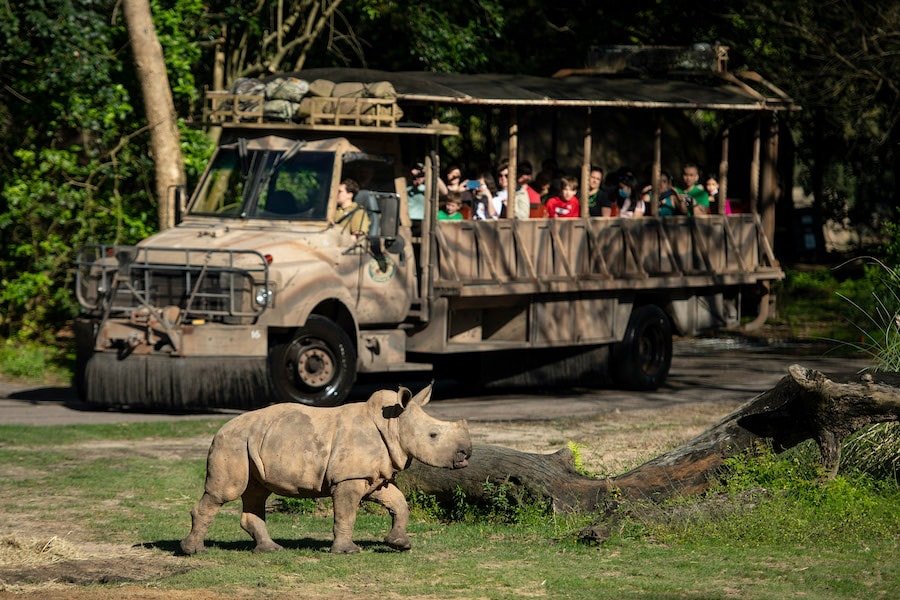 Celebrate Earth Day For A Week At Disney's Animal Kingdom! 1 Earth Day